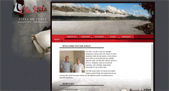 Desktop Screenshot of chestile.co.nz